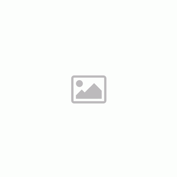 Saeco Vienna Spidem Trevi chiara J kazános (felújított kávégép 6 hónap garanciával) Saeco Vienna Spidem Trevi chiara J kazános (felújított kávégép 6 hónap garanciával)